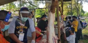 Terapkan Protokol Kesehatan, PT Timah Tbk Tetap Gelar Pemotongan Kurban