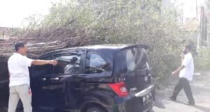Pohon Tumbang Timpa 6 Motor dan 1 Mobil di Jalan Ican Saleh Pangkalpinang