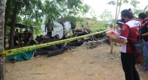 Pria Paruh Baya Ditemukan Tak Beryawa di Desa Mayang