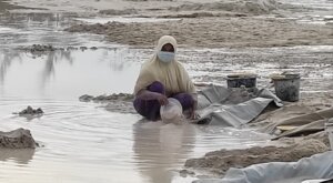 Curhatan Emak-Emak  Berharap Tambang Timah di Laut Mengkubung Beraktivitas Kembali