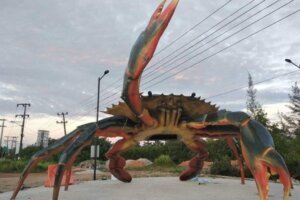 Ketem Remangok Raksasa Muncul di Perbatasan Pangkalpinang dan Sungailiat