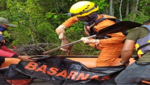 Tim SAR Evakuasi Jasad Korban Diterkam Buaya