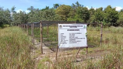 Proyek Mangrove 2021 Bernilai Miliaran Kini Menuai Masalah
