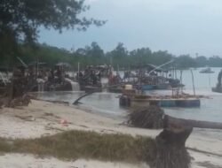 Tambang Ilegal di Pantai Perepat Mati Hajar Ratusan Pohon Mangrove Program Polri Peduli Penghijauan TH 2020