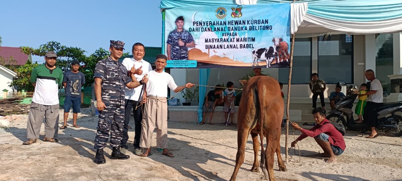 Sambut Idul Adha 1443 H, Danlanal Babel Bagikan 3 Ekor Sapi ke Pengurus Mesjid