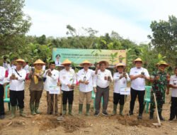 Terima 10.713 Benih Kopi, Potensi Pertanian Terbaru di Bangka Tengah
