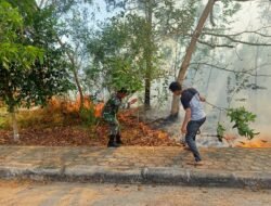 Lahan di Komplek Perkantoran Pemkab Basel Terbakar