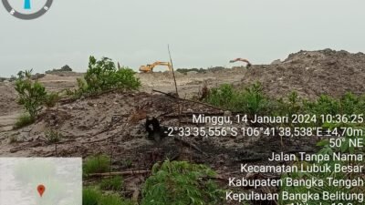 hutan lindung,excavator,