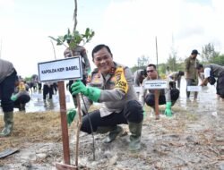 Polda Babel Tanam 1.300 Pohon Mangrove Di Kawasan Eks Tambang di Lintas Timur Bangka