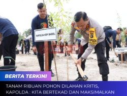 Tanam Ribuan Pohon Dilahan Kritis, Kapolda : Kita Bertekad dan Maksimalkan Penanaman Di seluruh Babel