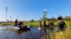 Diduga Hilang Diserang Buaya, Tim SAR Gabungan dan Warga Cari Masari di Sungai Kapuang