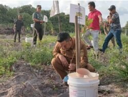 Bupati Basel Bersama Forkopimda Tanam Ratusan Bibit Buah Di Kawasan Wisata Pantai