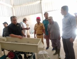 Dua Anggota Dewan Basel Tinjau Rice Milling di Desa Rias, Kepala Dinas DPPP Risvandika: Ini Sebuah Harapan Baru Atas Kepedulian Terhadap Petani