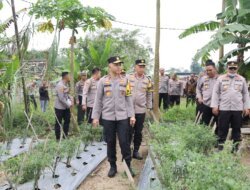 Kapolda Babel Tinjau Kebun Ketahanan Pangan, Dukung Program Percepatan Swasembada Pangan Pemerintah