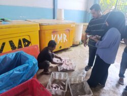 Kisah Sukses Ekspor Rajungan dan Cumi KMR Group Fishery di Sadai: Dari Nelayan ke Pasar Internasional
