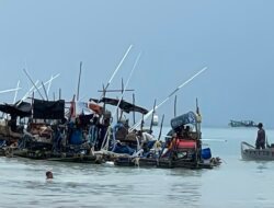 Jangan Biarkan Penambang Rakyat Babel Hidup di Ruang Abu-Abu