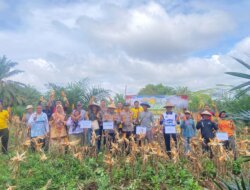 Polsek Payung Komitmen Dukung Petani, Iptu Marto Sudomo Targetkan Peningkatan Hasil Panen Jagung