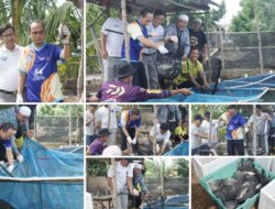 Tiga Bulan Budidaya Nila Salin Raup Rp30 Juta, Bupati Bangka Tengah Dorong Ekspansi Budidaya Ikan