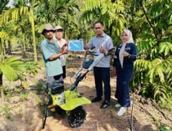 PT TIMAH Tbk Dukung Sektor Pertanian, Tingkatkan Produktivitas Kelompok Tani di Desa Kundur