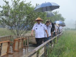 Panen Raya Jaksa Mandiri Pangan, Gubernur Babel Hidayat Arsani Tegaskan Babel Menuju Kedaulatan Pangan Berkelanjutan