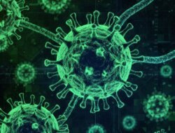 Belum Ada Kasus di Bangka Selatan, Dinkes Tetap Perkuat Faskes Hadapi Ancaman Virus Nipah​