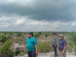 Misteri Alih Fungsi 50 Hektar Sawah di Desa Serdang, Kelompok Tani Sebut Tak Pernah Jual Lahan