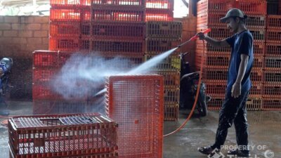 Perkuat Ekonomi Kerakyatan, PT TIMAH Siapkan Beragam Program Pengembangan UMKM