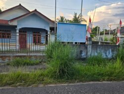 Pagar Terkunci dan Rumput Menjulang, Kader NasDem Basel Keluhkan Markas Partai Tak Terurus