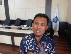 Harga TBS Sawit Basel Merosot Tajam, Dinas Pertanian Bergerak Cari Solusi Bersama Provinsi