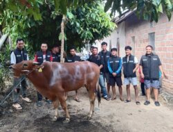 Momentum Idul Adha 1447 H, Tim BAHER Tebar Kepedulian Lewat Hewan Kurban dan Rentetan Aksi Sosial