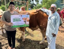 Idul Adha 1447 H: Anggota DPRD Muda PDIP Bangka Selatan, Daffa Maulan Semarakkan Kurban di Dua Wilayah