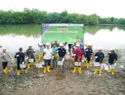 Bersama Pemkab Bangka, PT TIMAH Tanam Pohon di Kolong AKHLAK Air Kantung 