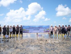 Dari Pesisir Belitung Timur, PT TIMAH dan Masyarakat Bergerak Jaga Alam Lewat Penanaman Mangrove di Pantai Mudong
