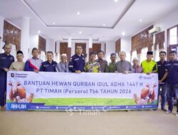 PT TIMAH Kembali Distribusikan Hewan Kurban, Bupati Bangka Tengah: Bentuk Kepedulian yang Konsisten